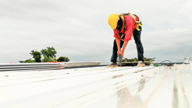 Best Solar Panel Roofing Installation  in Escanaba, MI