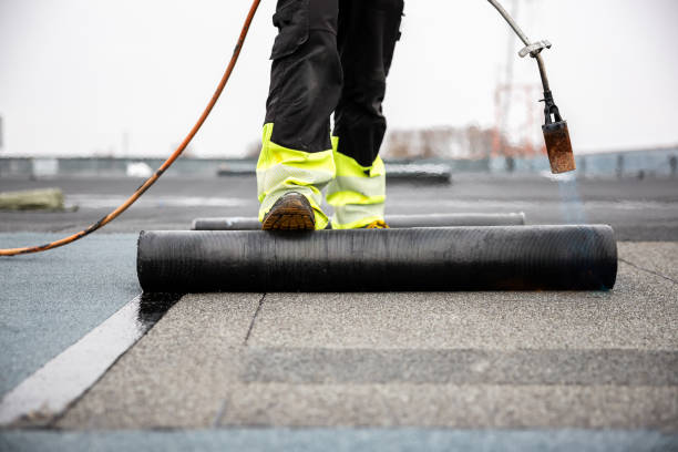 Best Skylight Installation and Repair  in Escanaba, MI