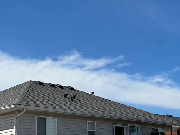 Best Flat Roofing  in Escanaba, MI